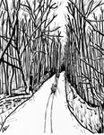 On the Trail