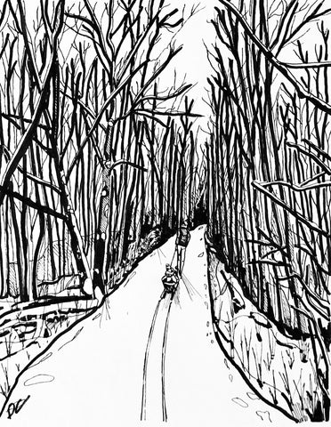 On the Trail