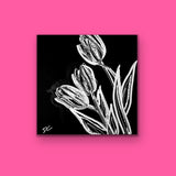The Tulips