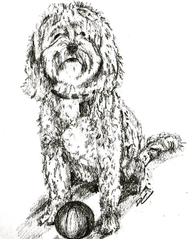 donna colbourn dog portrait