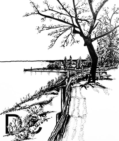 Bayfield lake huron picnic Donna Colbourn 