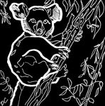 The Koala