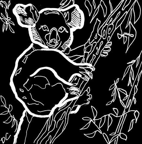 The Koala