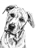 Hudson