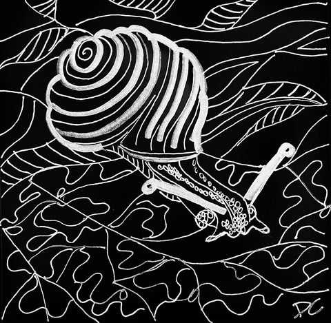 snail donna colbourn 