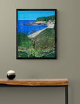 Seal Cove (California)