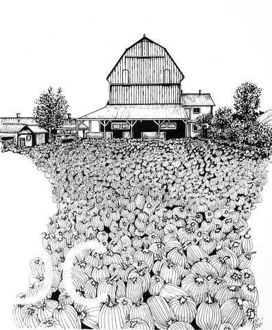 pumpkin farmer market ink drawing Donna Colbourn 