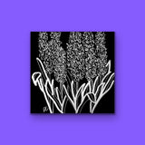 The Hyacinths