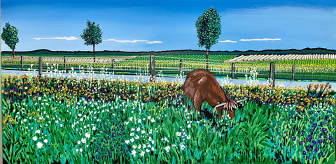cows farmland donna colbourn 