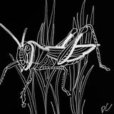 grasshopper donna colbourn