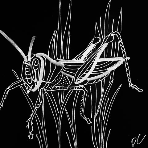 grasshopper donna colbourn
