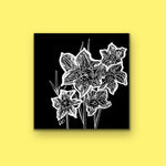 The Daffodils
