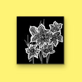 The Daffodils