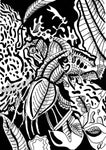 fish ink drawing donna colbourn