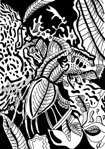 fish ink drawing donna colbourn