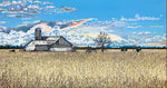 Harvest Sky