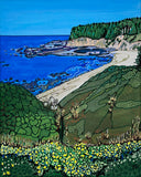 Seal Cove (California)