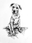 Hudson